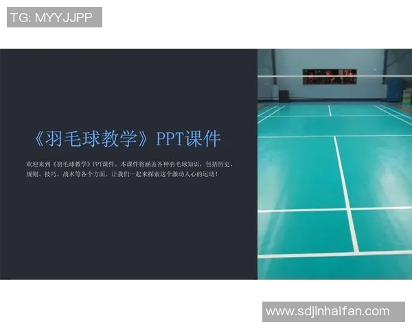 南京羽毛球队战术解析与对比研究揭示胜负关键因素 南京羽毛球队战术解析与对比研究揭示胜负关键因素