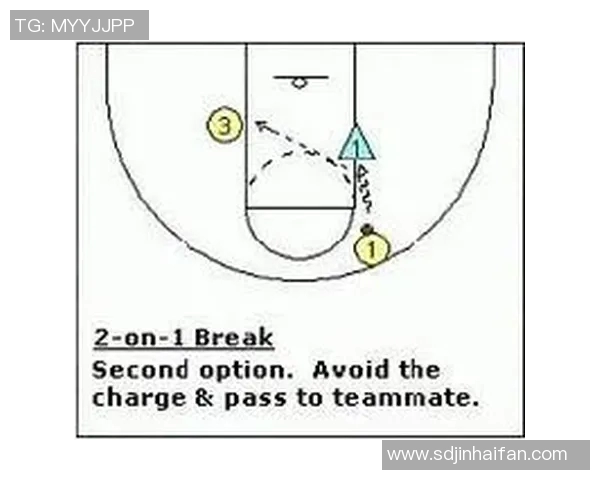 南京羽毛球队快攻战术分析与比赛表现的得失总结