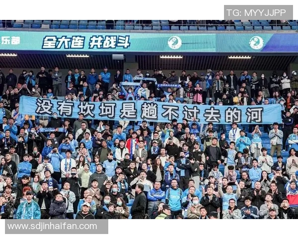 南京足球队实力之争引发热议球迷观点各异分析深入探讨球队未来发展方向