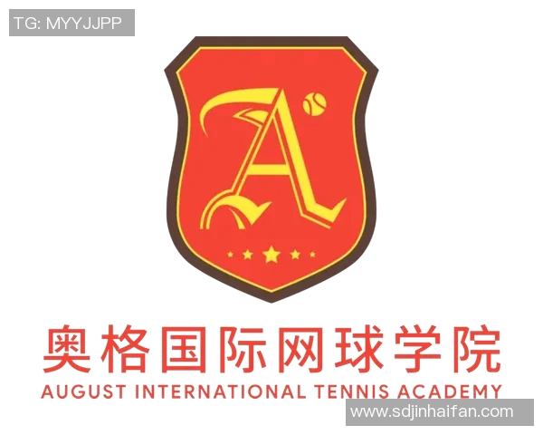 广州网球队进攻策略分析与得失评估探讨