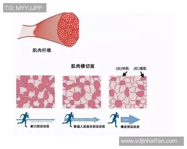 杭州与武汉足球队耐力对决赛后分析与总结