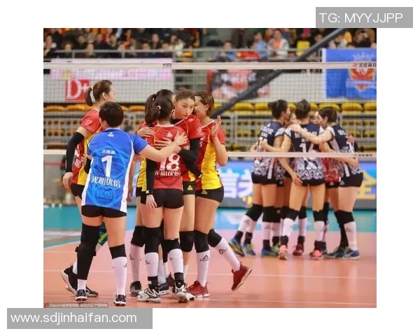 杭州排球队在城市联赛中的状态分析与表现点评