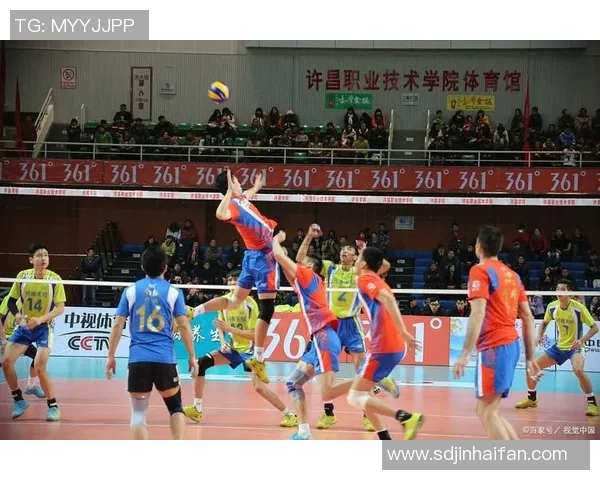 聚焦排球：武汉排球队如何通过速度提升竞技水平与团队协作