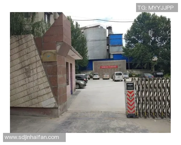 西安篮球队的奋斗历程与成长轨迹全景纪实